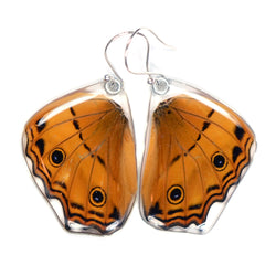 Butterfly Earrings, Cramer's Cruiser, Bottom Wings