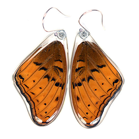 Butterfly Earrings, Cramer's Cruiser, Top Wings