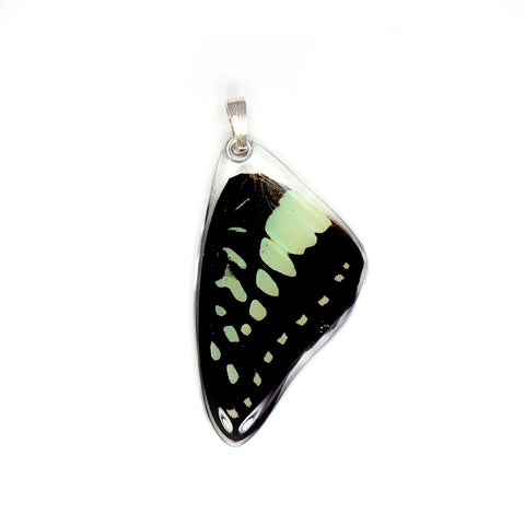 Butterfly Wing Pendant, Pale Green Triangle, Top Wing