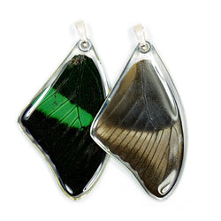 Real Butterfly Wing Pendant Only, Emerald Swallowtail, Top Wing