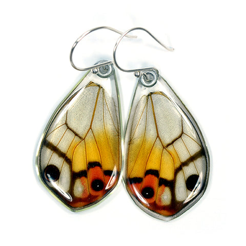 Butterfly Wing Earrings, Amber Phantom, bottom wings