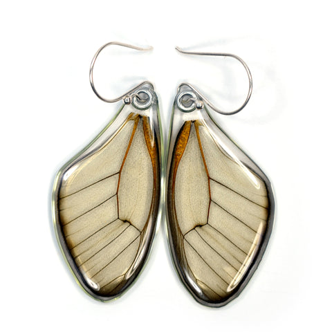 Butterfly Wing Earrings, Amber Phantom, top wings