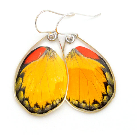 Butterfly earrings, Red Spot Jezebel Butterfly, bottom wings