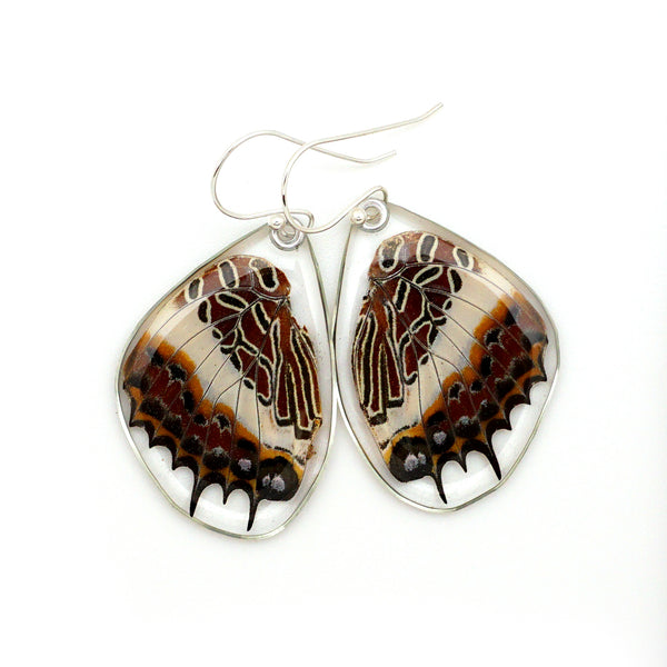0565 Butterfly earrings, White-barred Emperor Butterfly, bottom wings