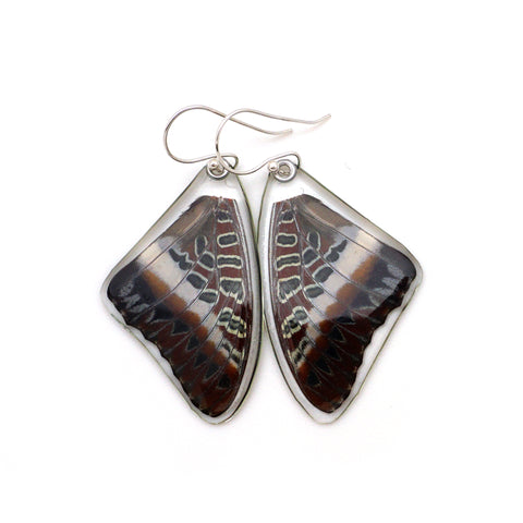 0565 Butterfly earrings, White-barred Emperor Butterfly, top wings