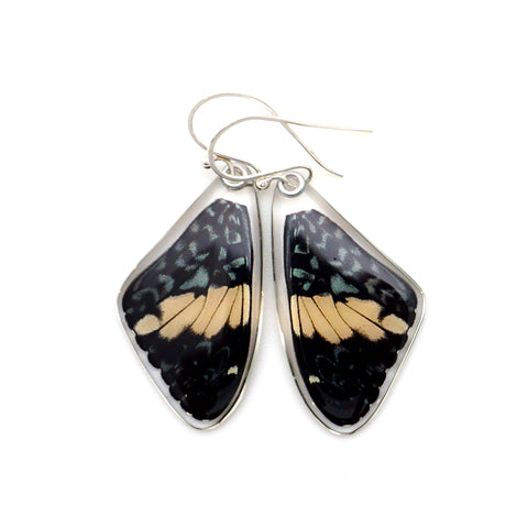 0580 Real Butterfly earrings, Red Cracker butterfly, top wings