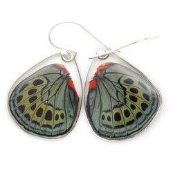 0590 Butterfly Wing Earrings, Leprieur's Beauty, bottom wings