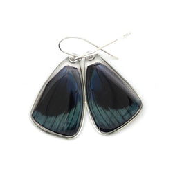 0590 Butterfly Wing Earrings, Leprieur's Beauty, top wings