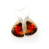 0591 Butterfly Wing Earrings, Red Spotted Graphium, bottom wings