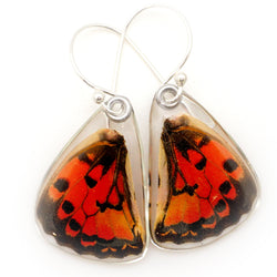 0591 Butterfly Wing Earrings, Red Spotted Graphium, bottom wings