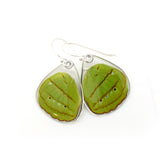 0593 Butterfly Wing Earrings, Hewitson's Olivewing, bottom wings