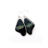 0645 Butterfly earrings, Red Flasher Butterfly, top wings