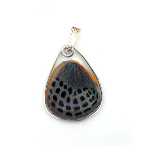0647 Butterfly Wing Pendant, Spotted Glory, bottom wing