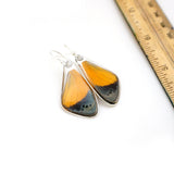 0647 Butterfly earrings, Dotted Glory Butterfly, top wings