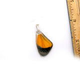 0647 Butterfly Wing Pendant, Spotted Glory, top wing