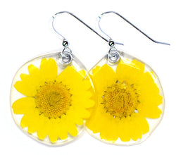 66003 Classic yellow daisy earrings