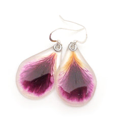 61612 Dark purple with white edges Geranium Petal Earrings