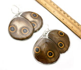 0617 Butterfly Wing Earrings, Taenaris Urania, bottom wings