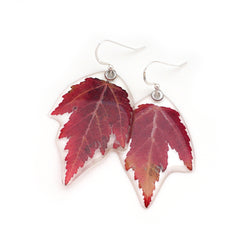 67052 Mini Maple Leaf Earrings