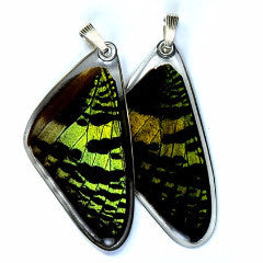 BU-0055-T-PE<BR>Butterfly wing pendant ONLY, Sunset butterfly, top wing