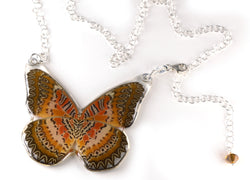 Whole Butterfly Necklace, Cethosia Biblis Biblis