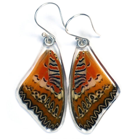 Butterfly earrings, Cethosia Biblis Biblis, top wings