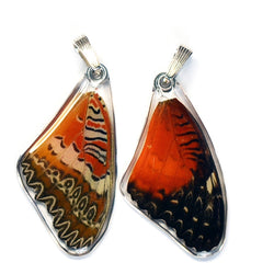 Butterfly wing pendant ONLY, Cethosia Biblis Biblis, top wing