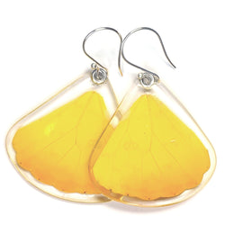 Butterfly earrings, Orange-barred Sulphur Butterfly, bottom wings