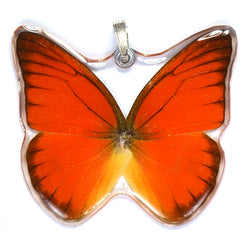 BU-0080-WP<BR>Whole Butterfly Pendant, Orange Albatross