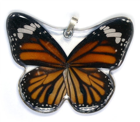 BU-0090-WP<BR>Whole Butterfly Pendant, Striped Tiger