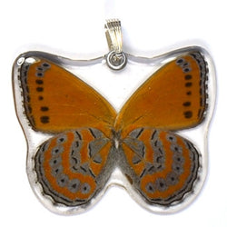 BU-0345-WP<BR>Whole Butterfly Pendant, Shimmery Lavender Butterfly