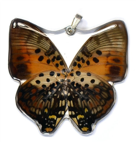 BU-0380-WP<BR>Whole Butterfly Pendant, Shining Red Charaxes