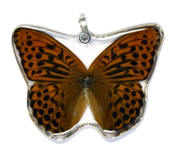 BU-0385-WP<BR>Whole Butterfly Pendant, Pallas' Fritillary