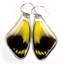 BU-0520-T-ER<BR>Butterfly earrings, Red Delias Butterfly. top wings
