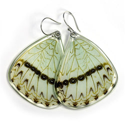 BU-0530-B-ER<BR>Butterfly earrings, Mint Morpho Butterfly, bottom wings