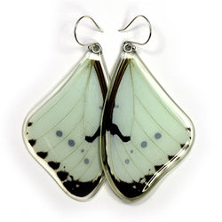 BU-0530-T-ER<BR>Butterfly earrings, Mint Morpho Butterfly, top wings