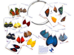 Butterflies Items Only $250