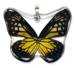 Whole Butterfly Pendant Only, SS bail, Yellow Glassy Tiger