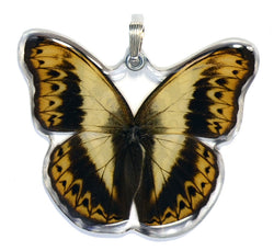 Whole Butterfly Pendant, Herminia Glider